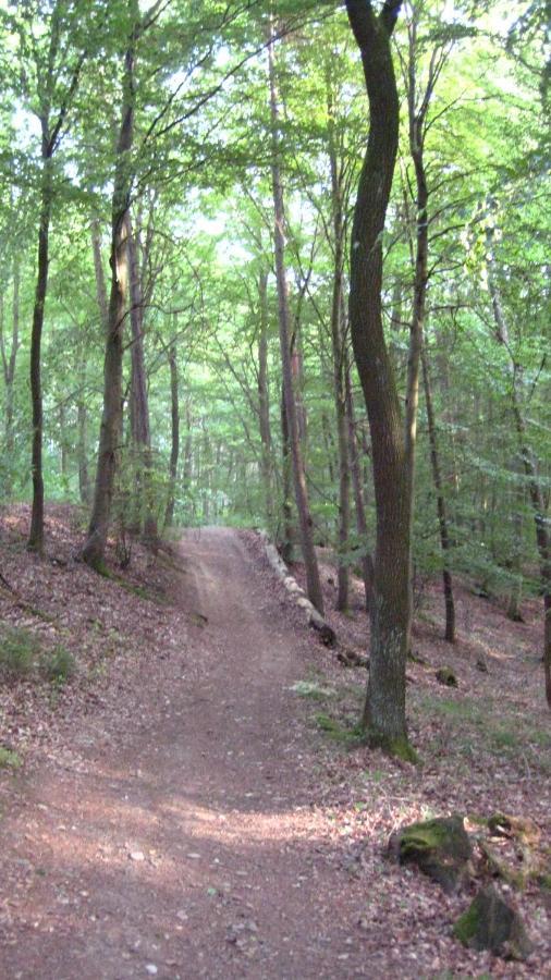 Gaestezimmer Waldblick Wimbach Exterior photo